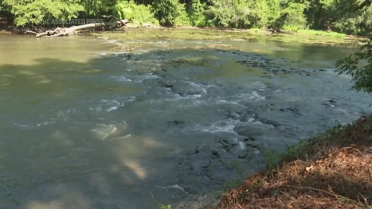 Endangered pearl darter reintroduced in river in Mississippi